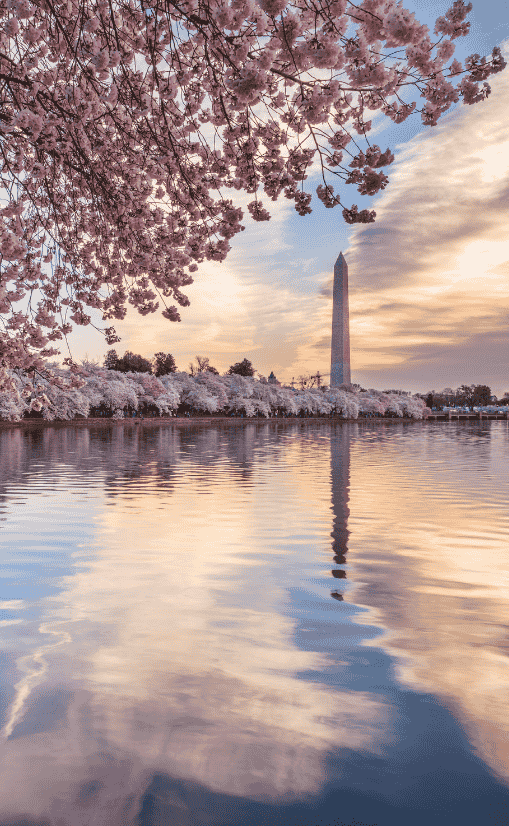 washington dc